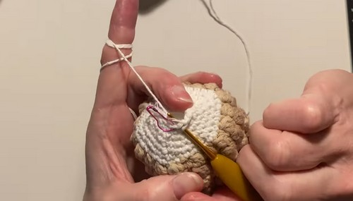 Free Amigurumi Crochet Hedgehog Pattern For Beginners 3