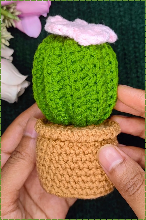 Crochet cactus amigurumi