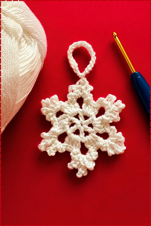 _Crochet Snowflake 5