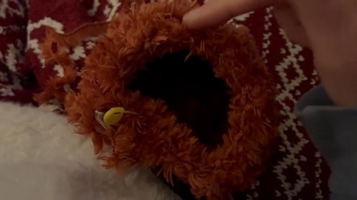 Free Amigurumi Highland Cow 2